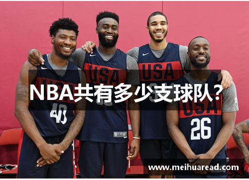 NBA共有多少支球队？